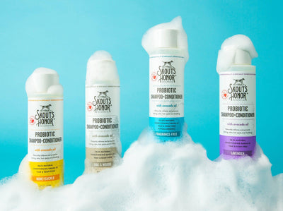Why Probiotics Are Great for You & Your Dogs' Skin