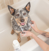 front image Skin Care