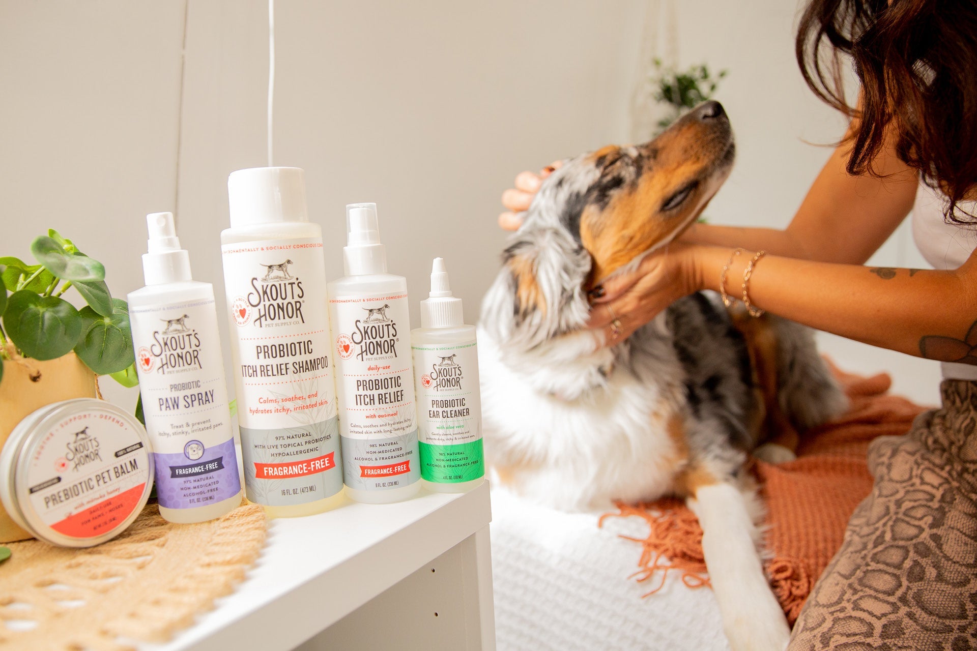 Skout's Honor Probiotic Deoderizer (Dog of the Woods)
