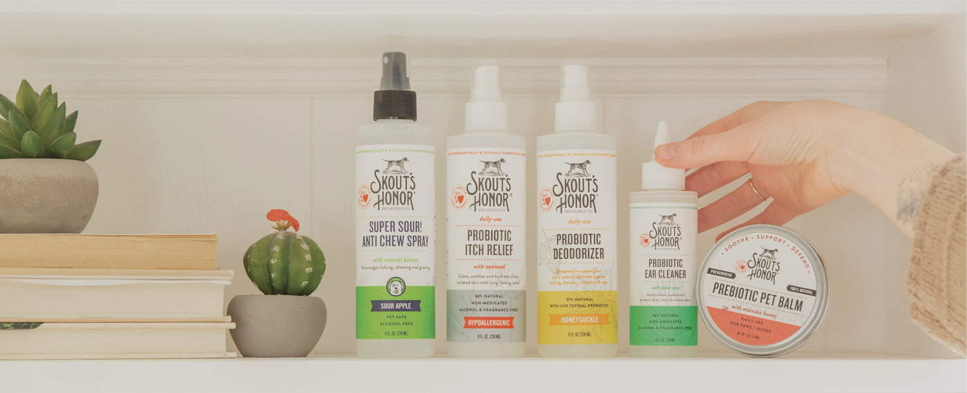 All Products