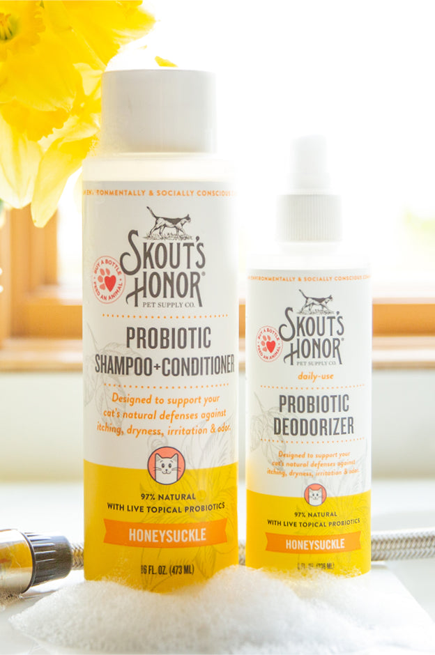 Cat Essentials