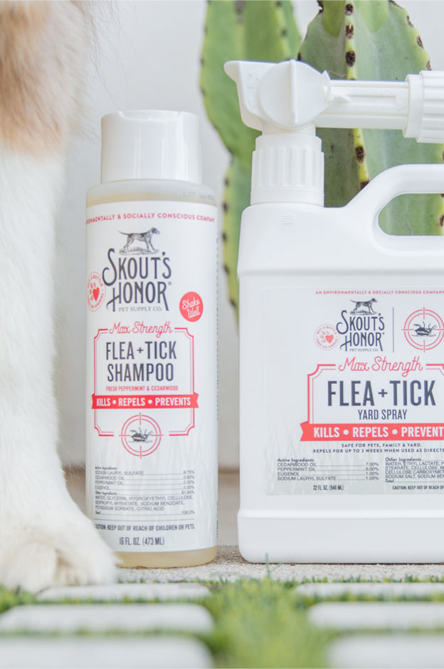 Flea & Tick Solutions