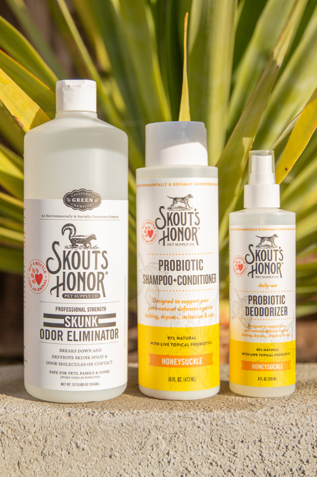 Pet Essentials Kits