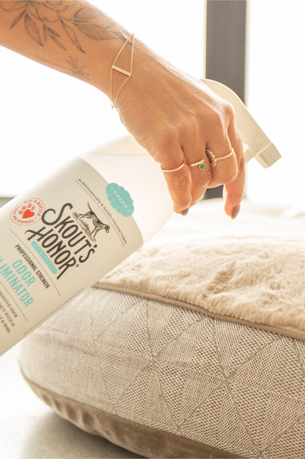 Stain & Odor Solutions