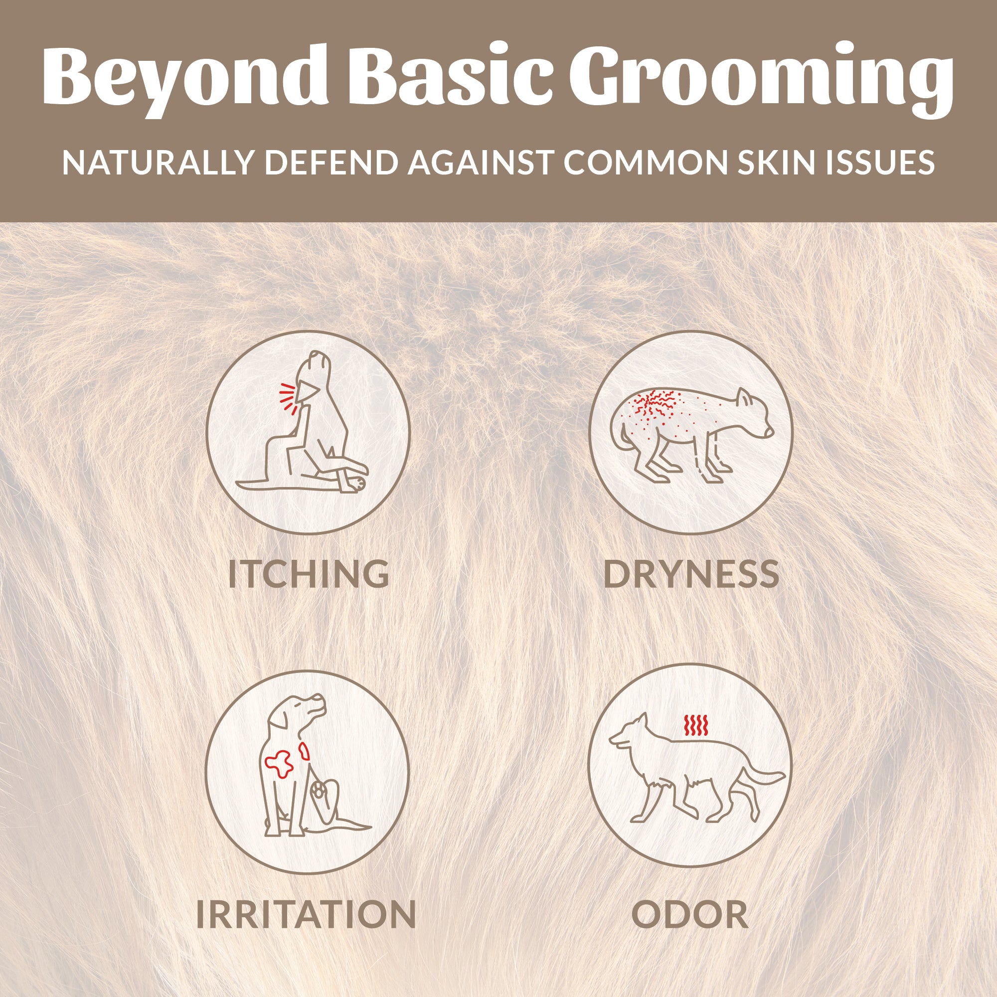 Probiotic Shampoo + Conditioner