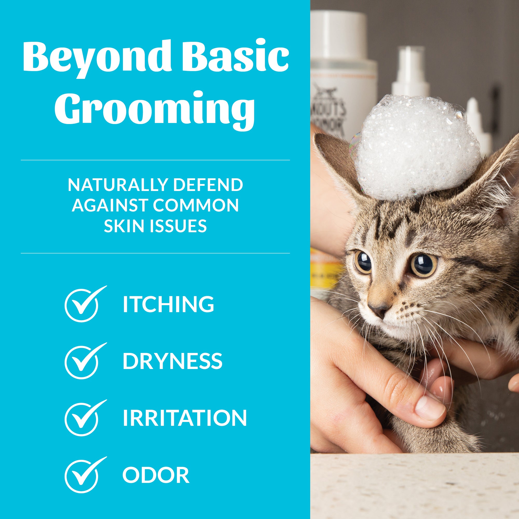 Cat Probiotic Shampoo + Conditioner Fragrance Free