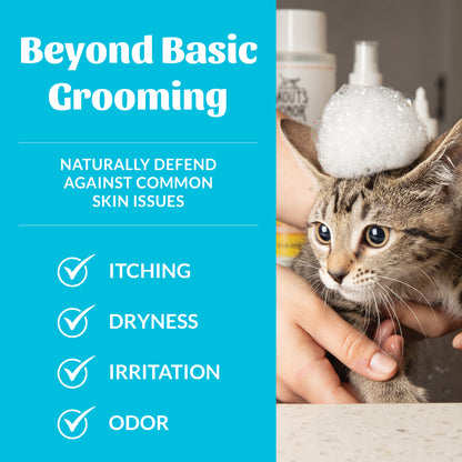 Cat Probiotic Shampoo + Conditioner Fragrance Free