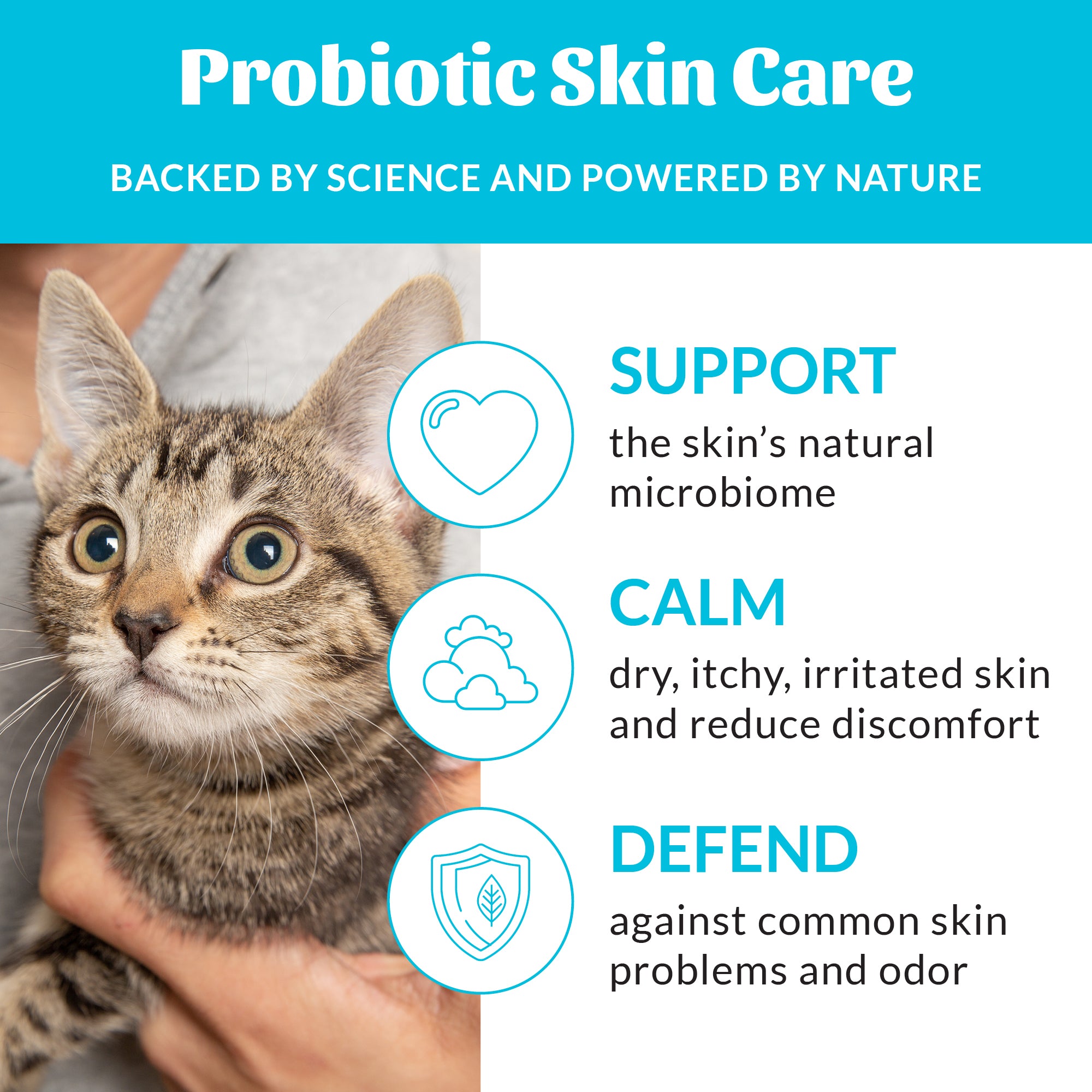 Cat Probiotic Shampoo + Conditioner Fragrance Free