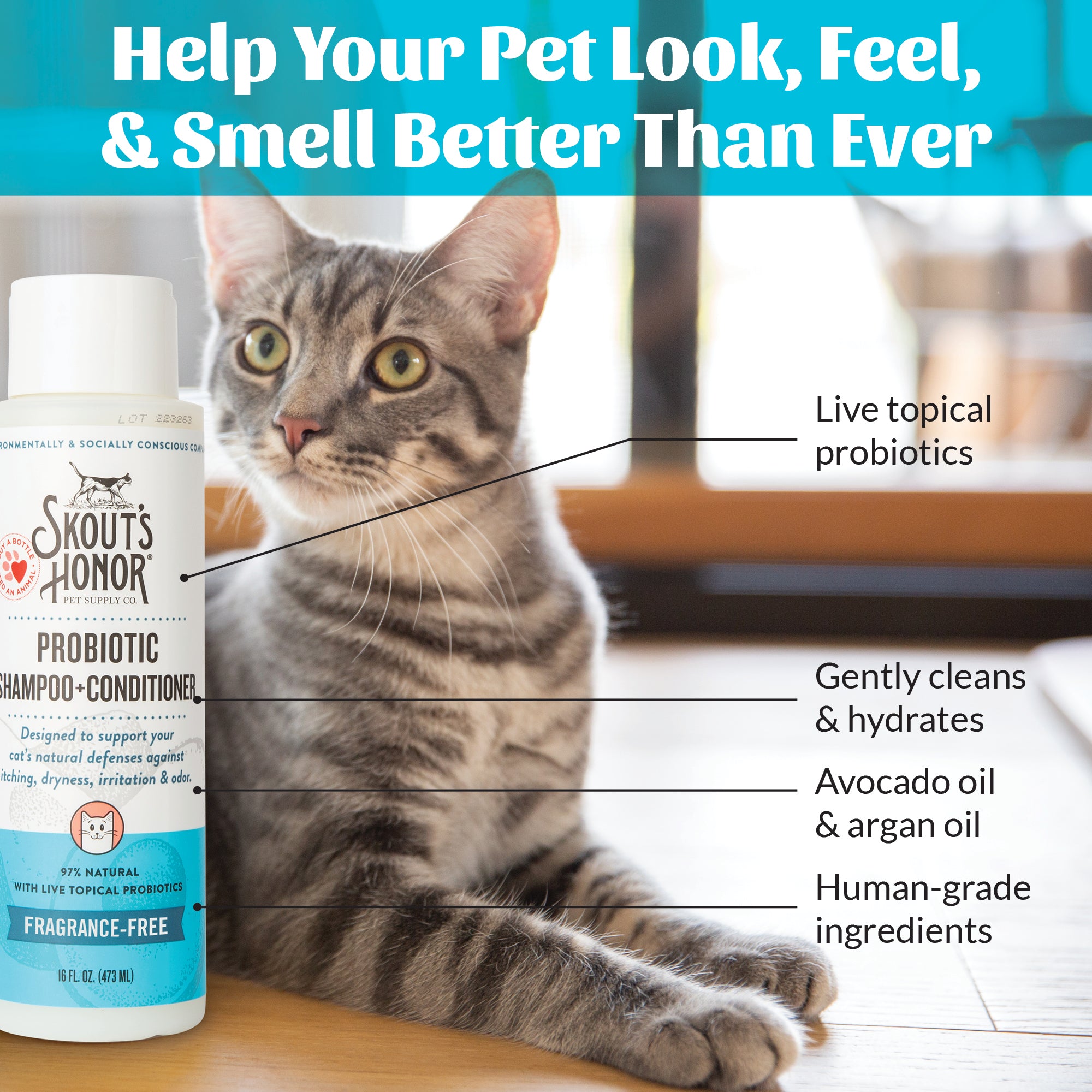 Cat Probiotic Shampoo + Conditioner Fragrance Free