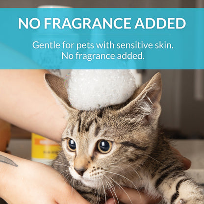 Cat Probiotic Shampoo + Conditioner Fragrance Free