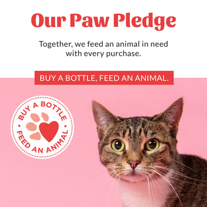 Cat Probiotic Shampoo + Conditioner Fragrance Free