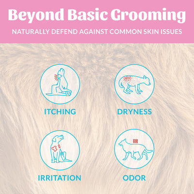 Probiotic Shampoo + Conditioner