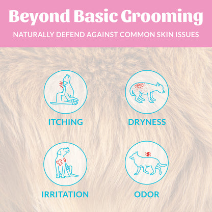 Probiotic Shampoo + Conditioner