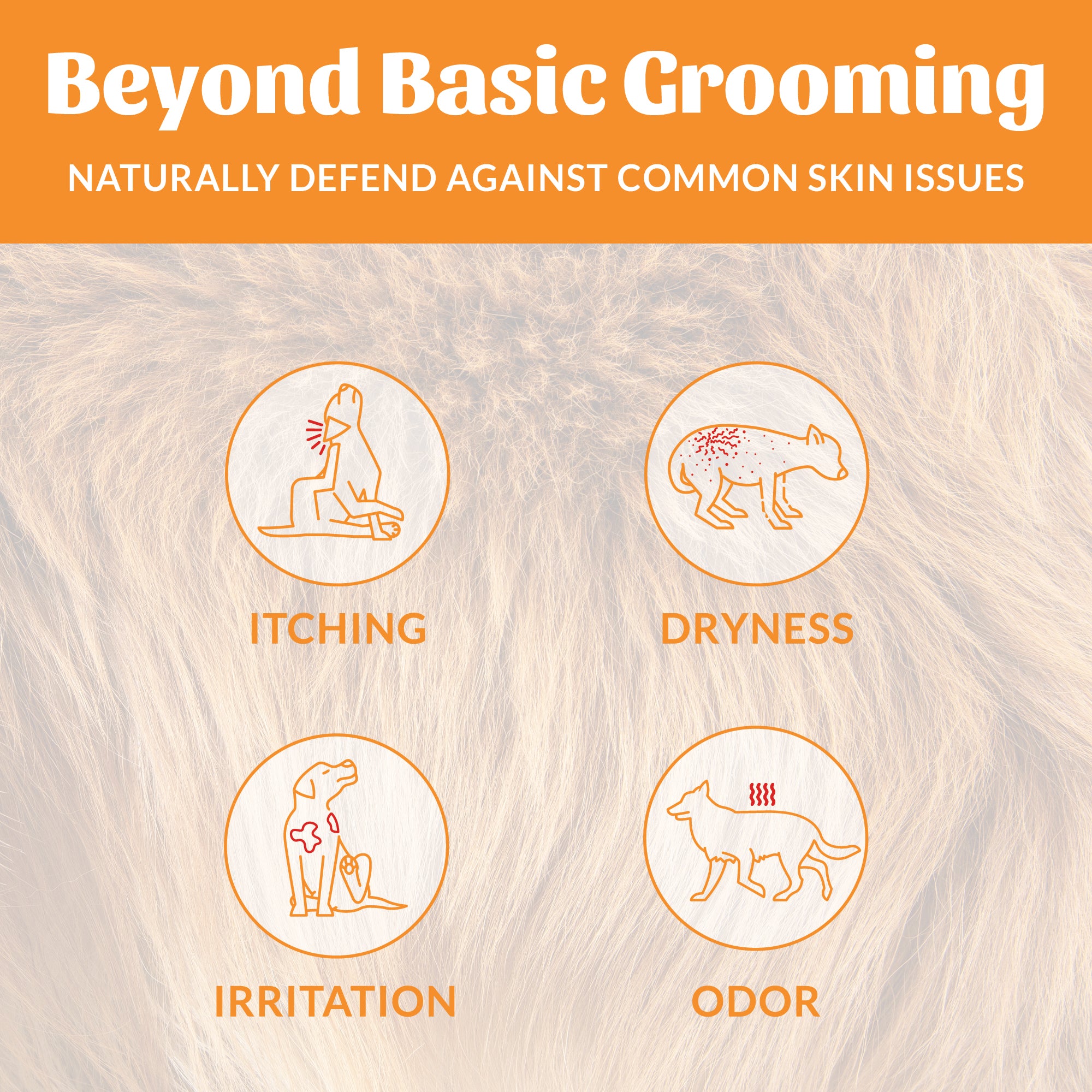 Probiotic Shampoo + Conditioner