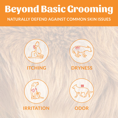 Probiotic Shampoo + Conditioner