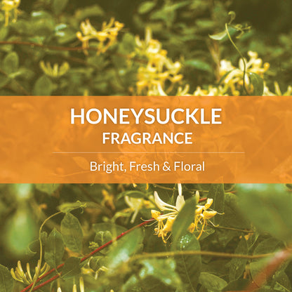 Cat Probiotic Shampoo + Conditioner Honeysuckle