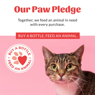 Cat Probiotic Shampoo + Conditioner Honeysuckle