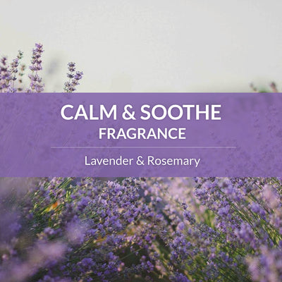 Probiotic Shampoo + Conditioner