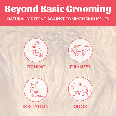 Probiotic Shampoo + Conditioner