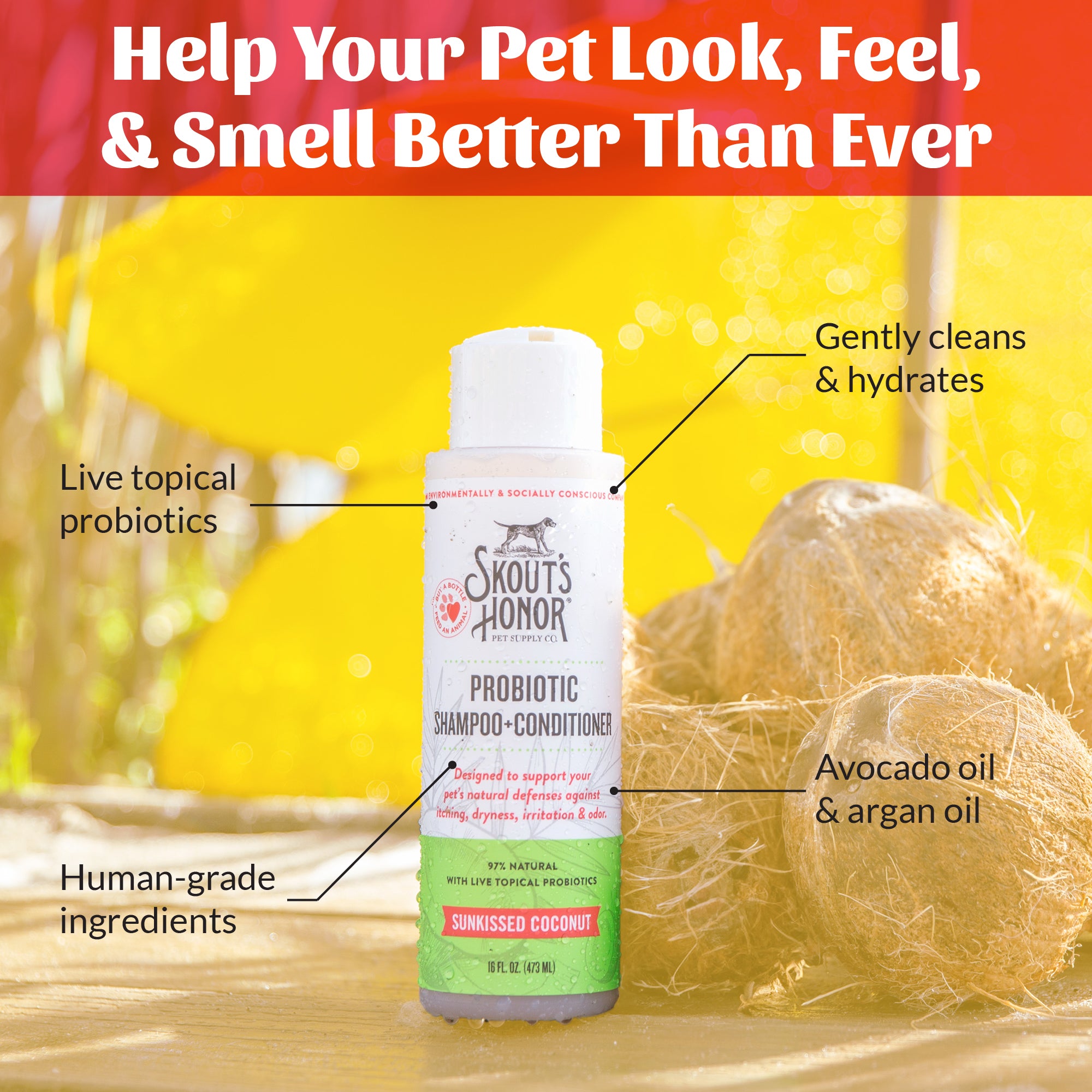 Probiotic Shampoo + Conditioner