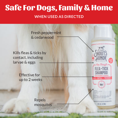 Flea+Tick Shampoo