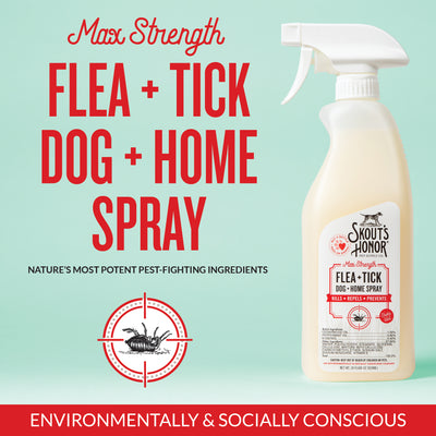 Flea+Tick Dog & Home Spray