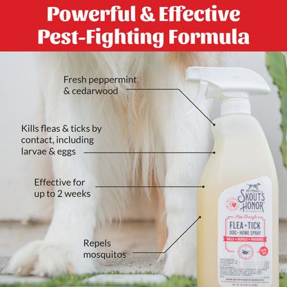 Flea+Tick Dog & Home Spray