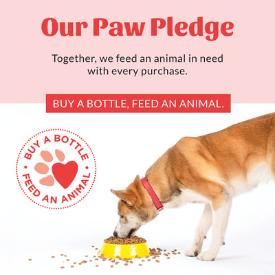 Flea+Tick Dog & Home Spray