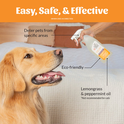 Stay Off! Training Aid