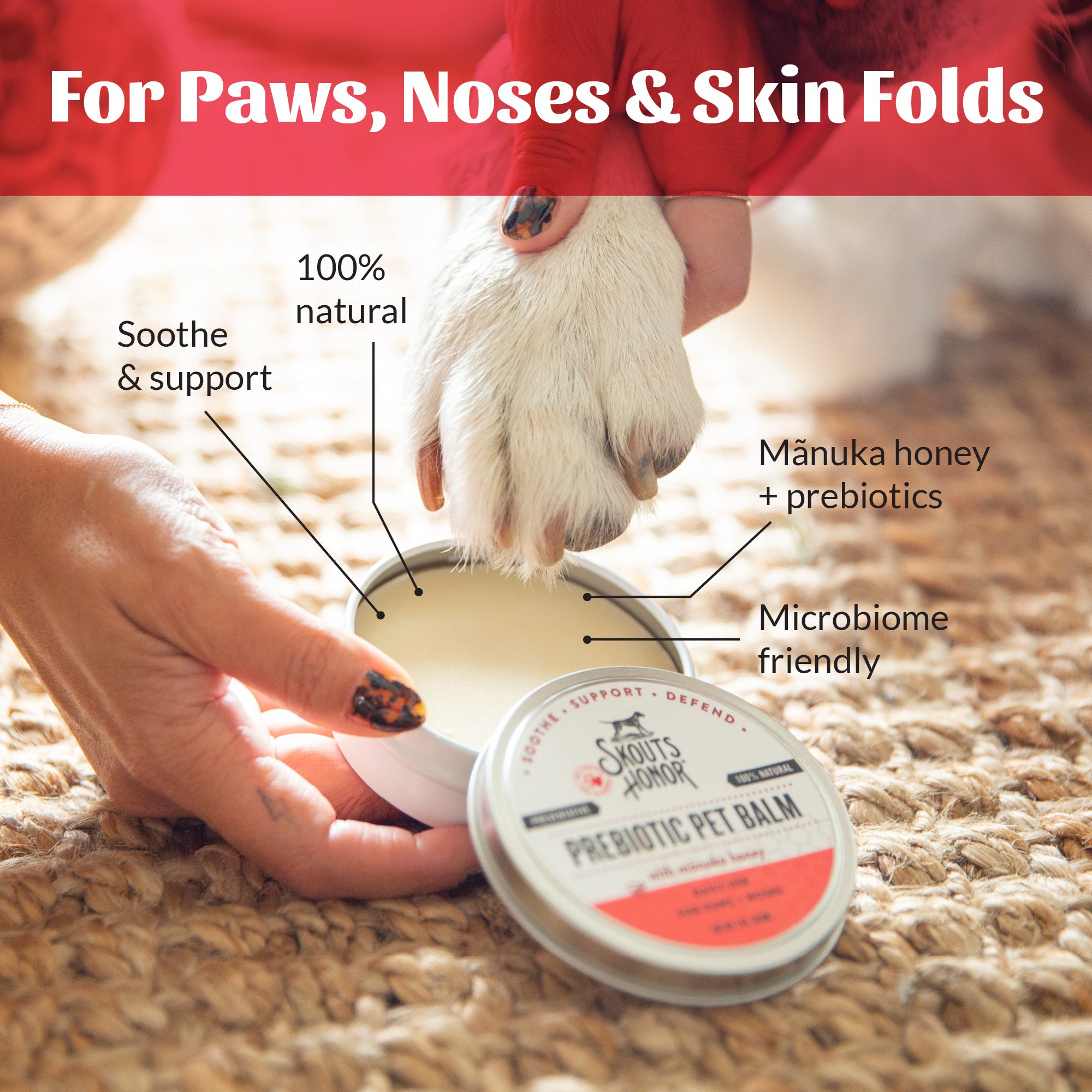 Paw Nose Balm For Cats Dogs with Prebiotics Skout's Honor