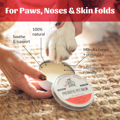 Prebiotic Pet Balm