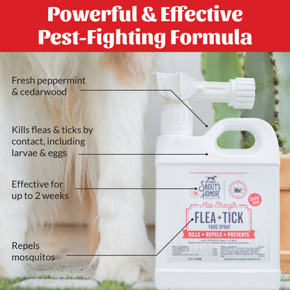 Flea+Tick Yard Spray