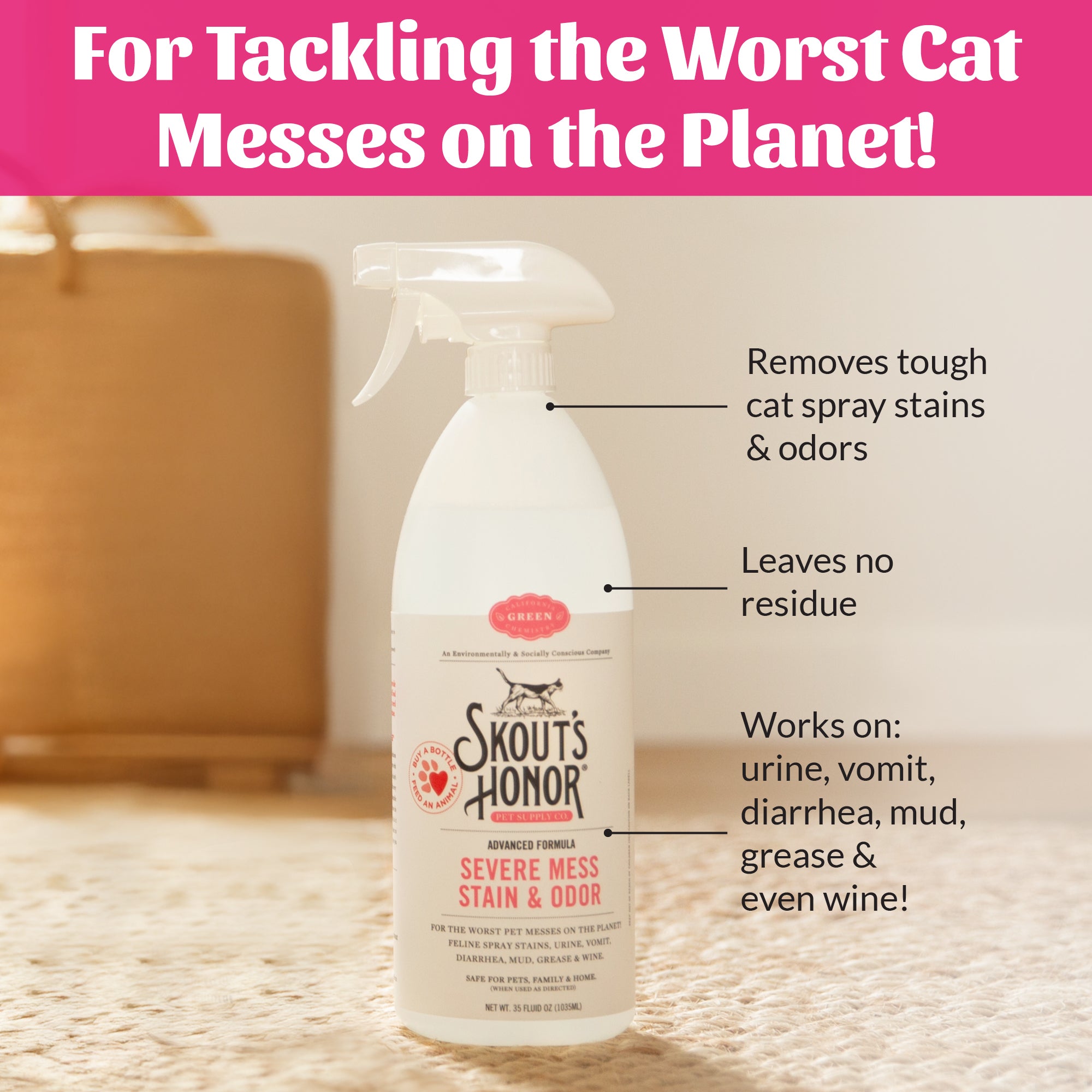 Cat Severe Mess Stain & Odor Advanced Formula