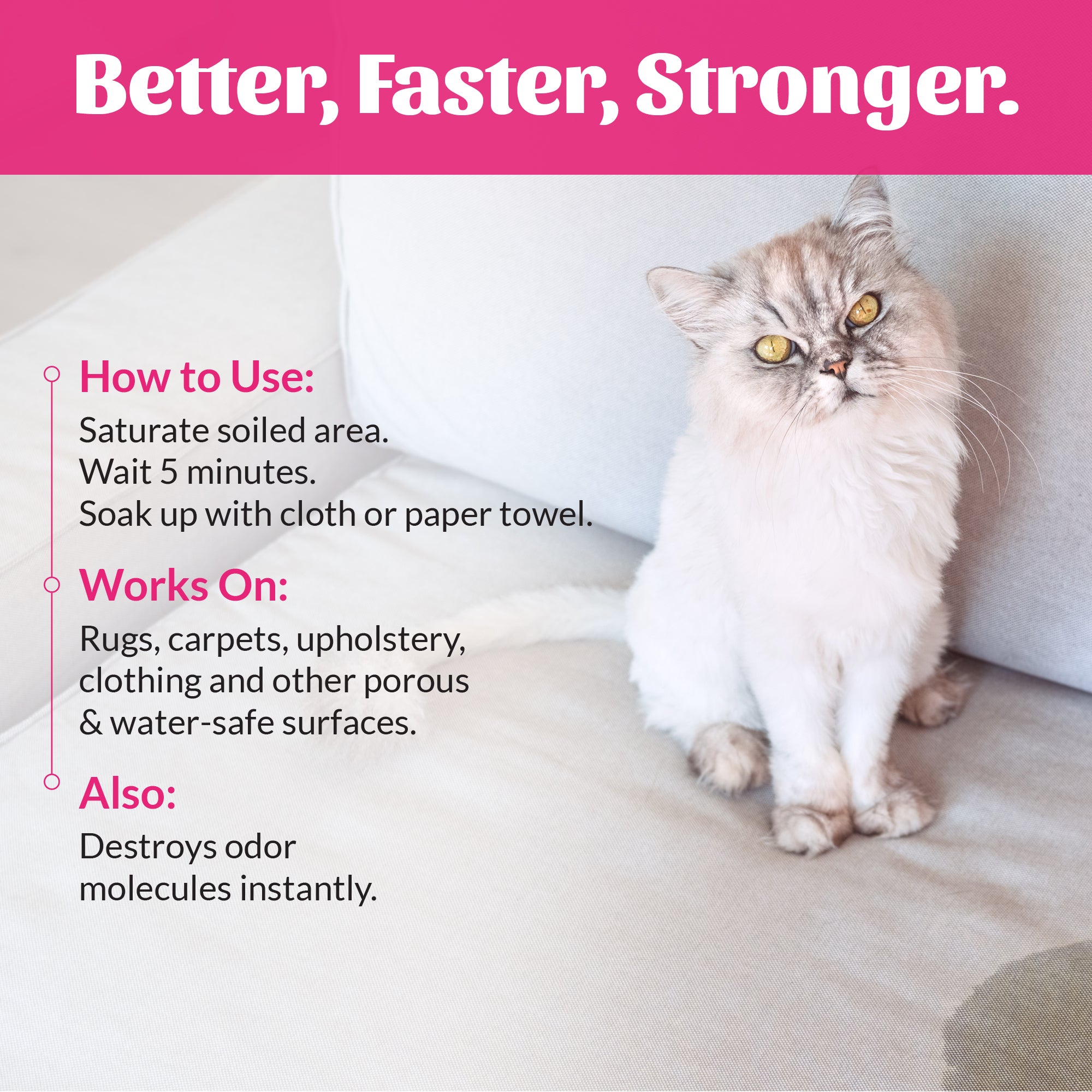 Cat Severe Mess Stain & Odor Advanced Formula
