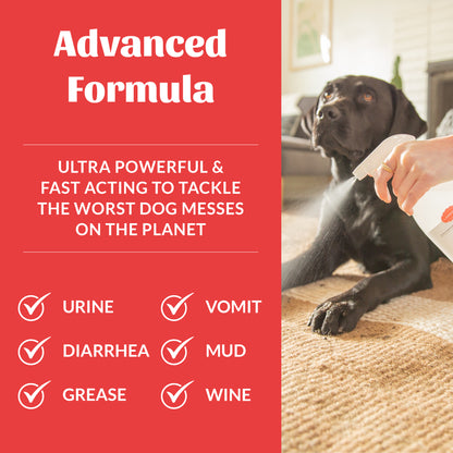 Severe Mess Stain & Odor Advanced Formula