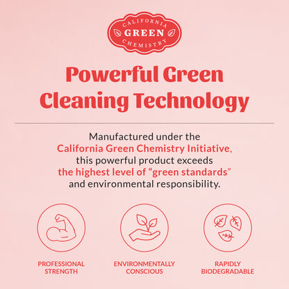 Severe Mess Stain & Odor Advanced Formula