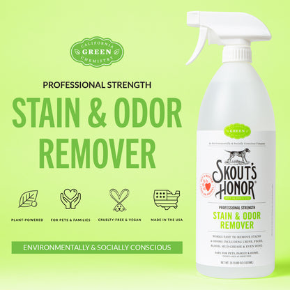 Stain & Odor Remover