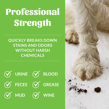 Stain & Odor Remover