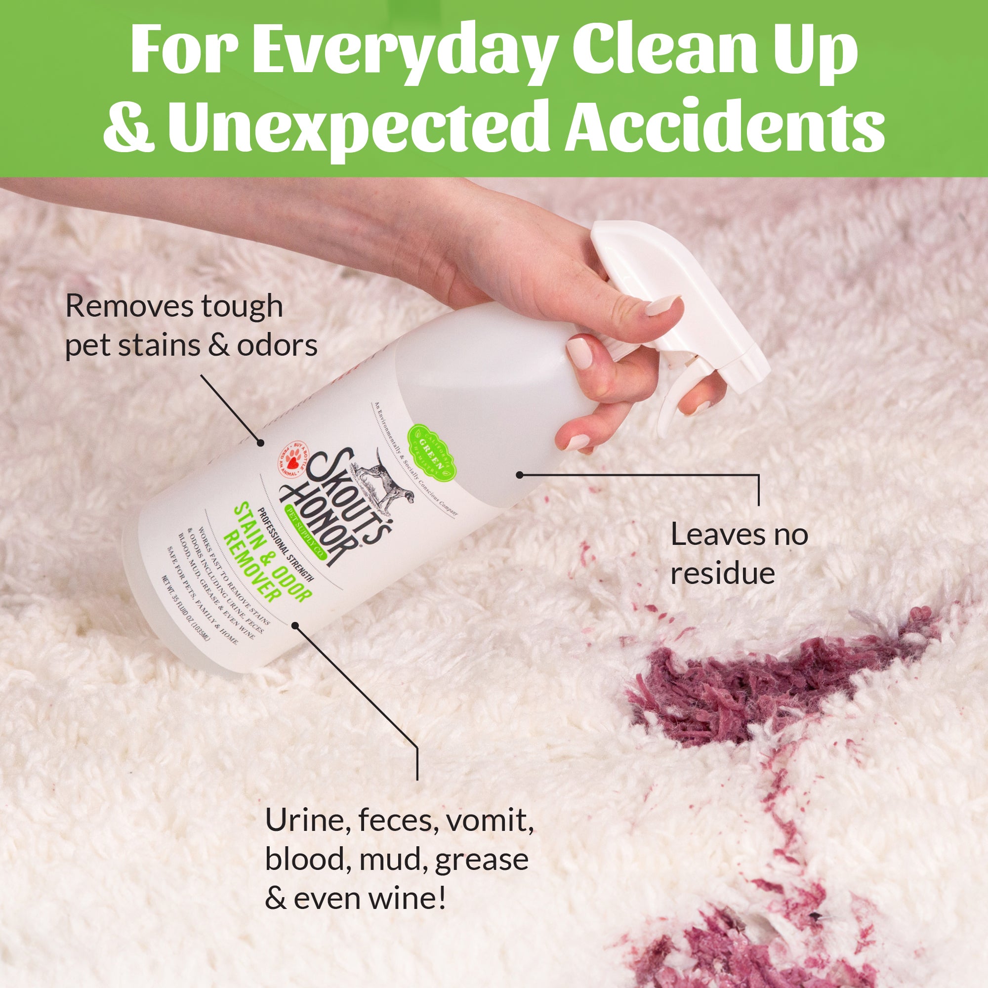 Stain & Odor Remover