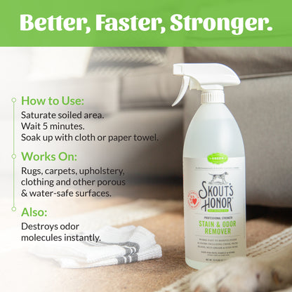 Stain & Odor Remover