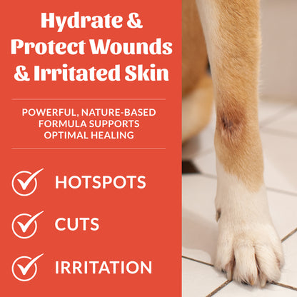 Probiotic Hot Spot Hydrogel