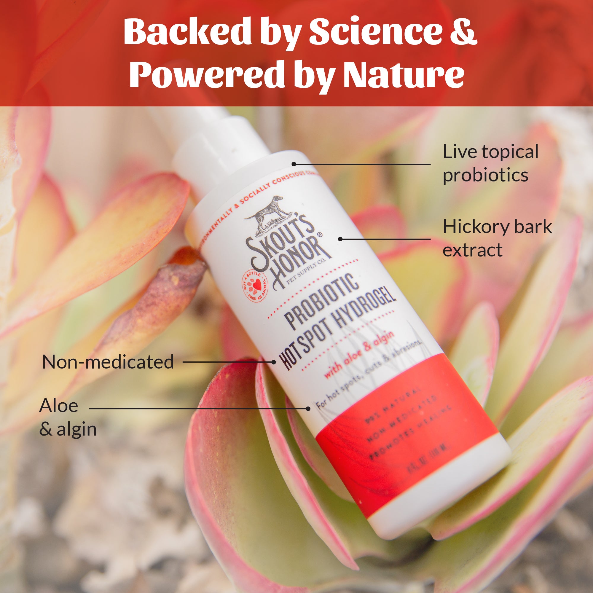 Probiotic Hot Spot Hydrogel