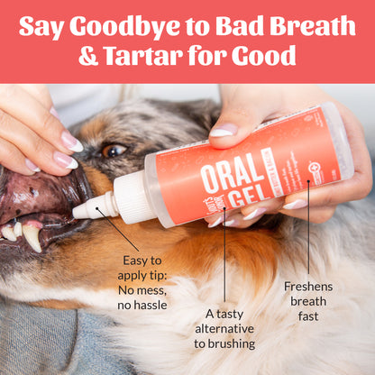 Oral Gel - Peanut Butter & Bacon