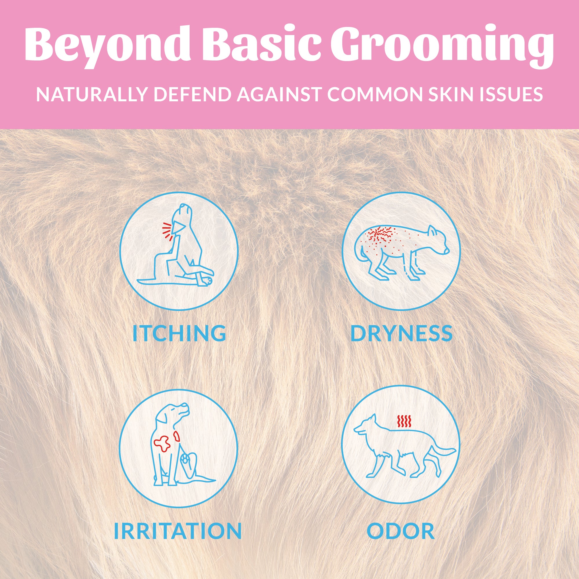 Probiotic Deodorizer