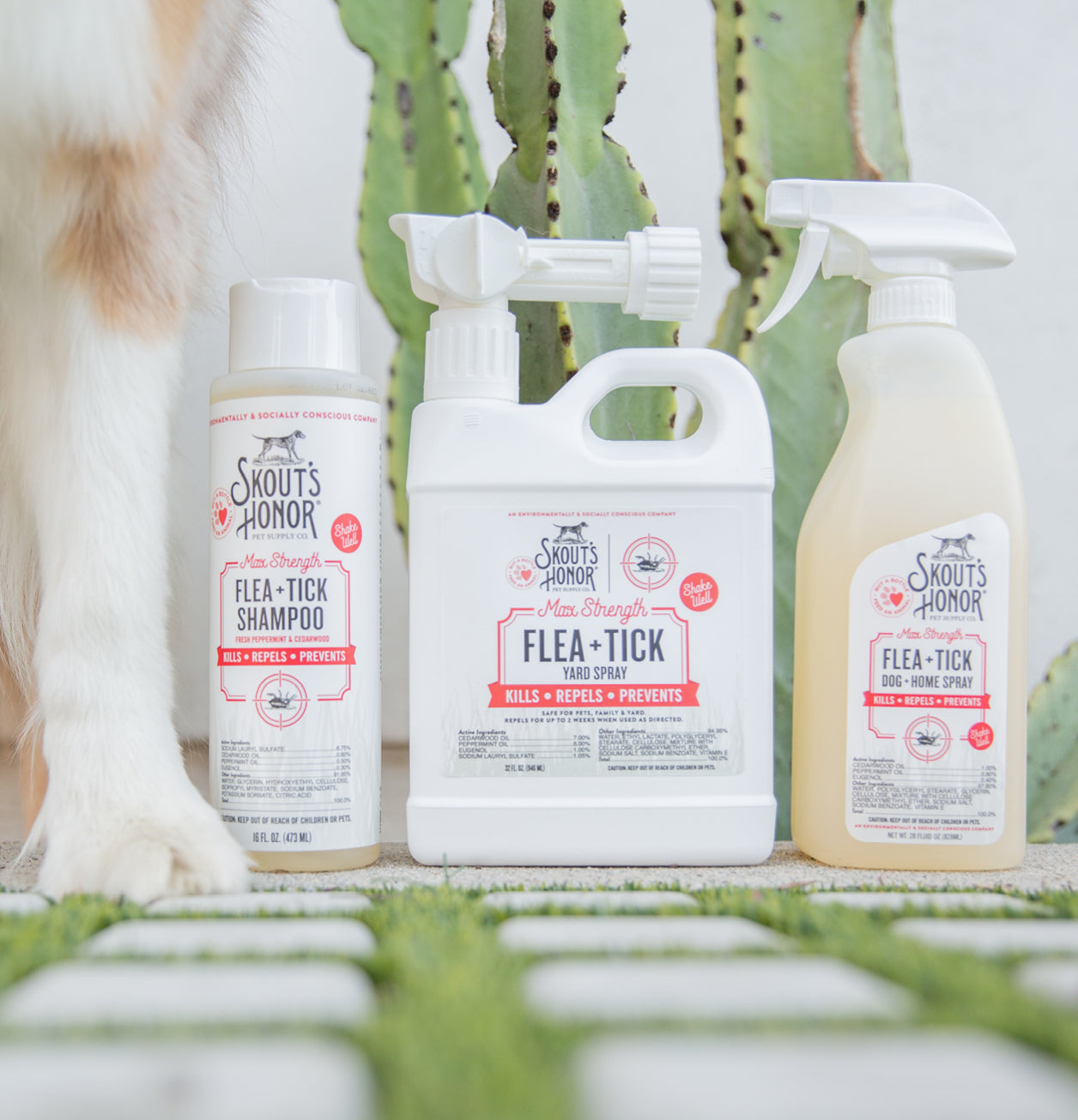 Plant Based Flea Killer For Pets photo
