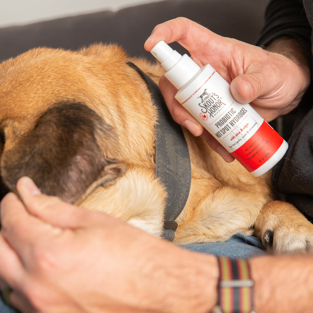 Probiotic Hot Spot Hydrogel for Dogs & Cats | Wound & Skin Care – Skout ... - Dog Probiotics For Wound Healing
