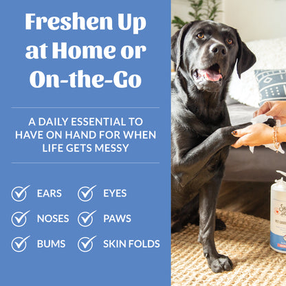 Pet Grooming Wipes for Dogs & Cats