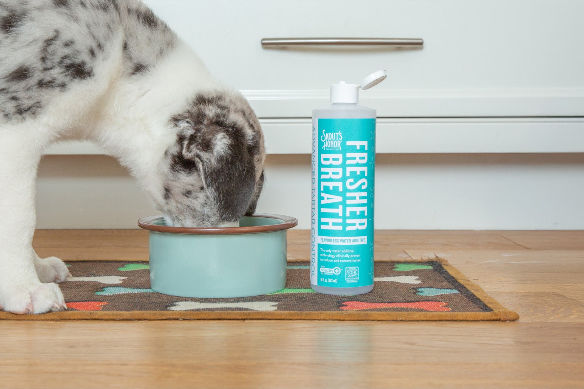 coactiv+® | Skout's Honor - Life Changing Pet Essentials
