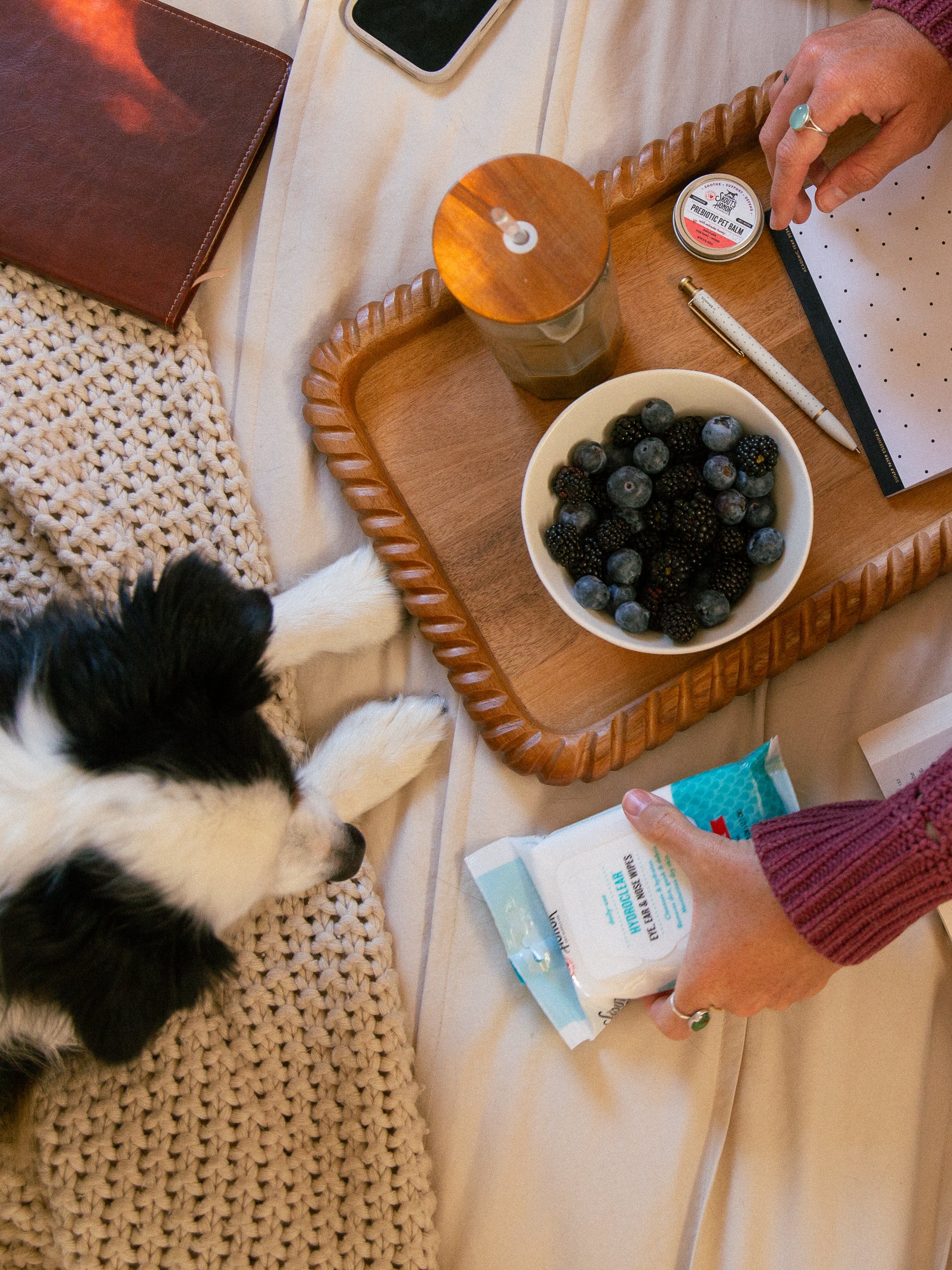 A cozy overhead lifestyle scene on a bed with a black and white dog resting on a knit blanket. A wooden tray holds a bowl of blueberries, a glass, a notebook, and a pen, while a person's hands are visible using a product package.